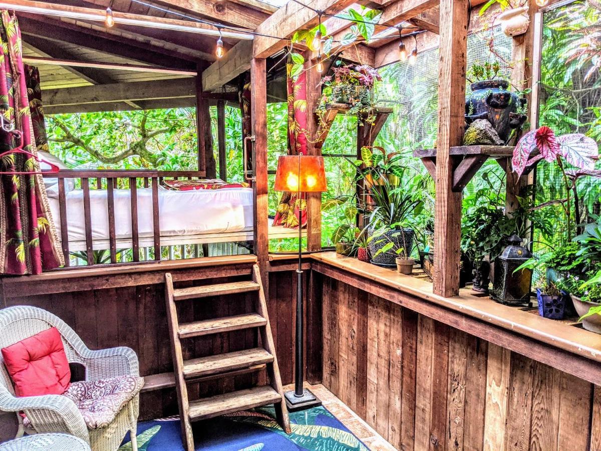 Kehena Mauka Nui Club Lgbtqia+ Clothing Optional Bed & Breakfast Pahoa Cameră foto