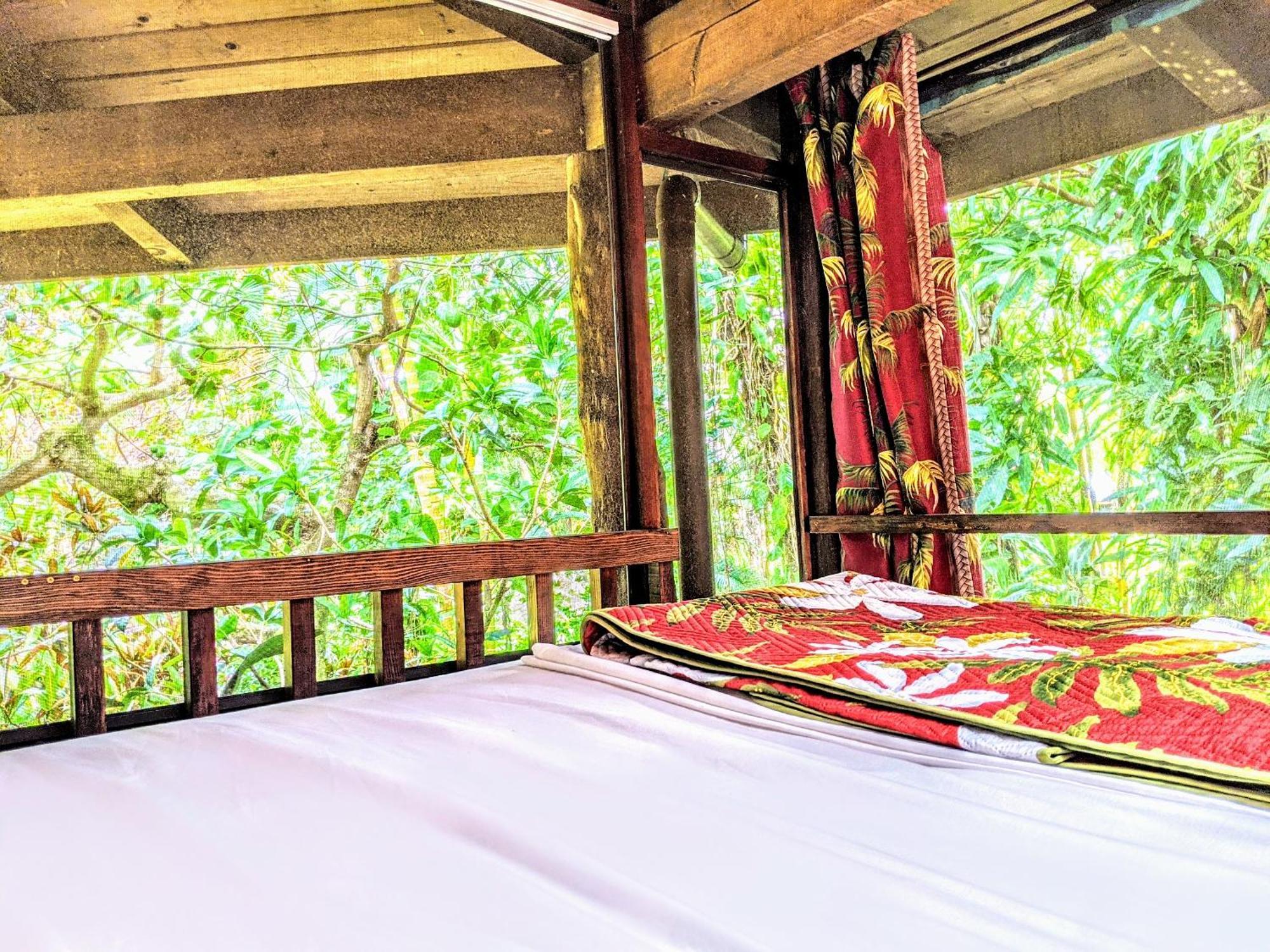 Kehena Mauka Nui Club Lgbtqia+ Clothing Optional Bed & Breakfast Pahoa Cameră foto